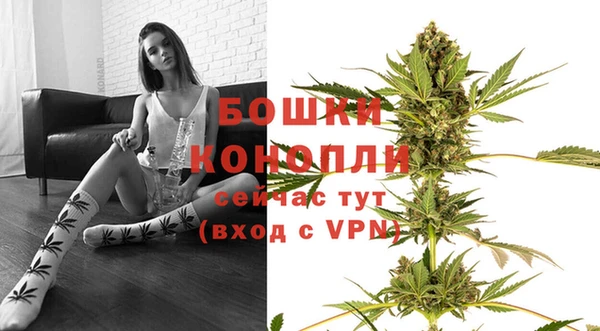 гидропоника Коряжма