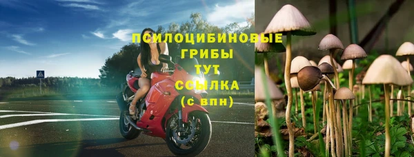 синтетический гашиш Костерёво